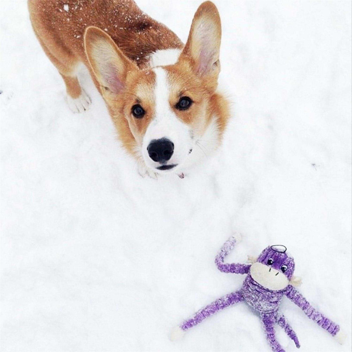 Crinkle Monkey Dog Toy K967704