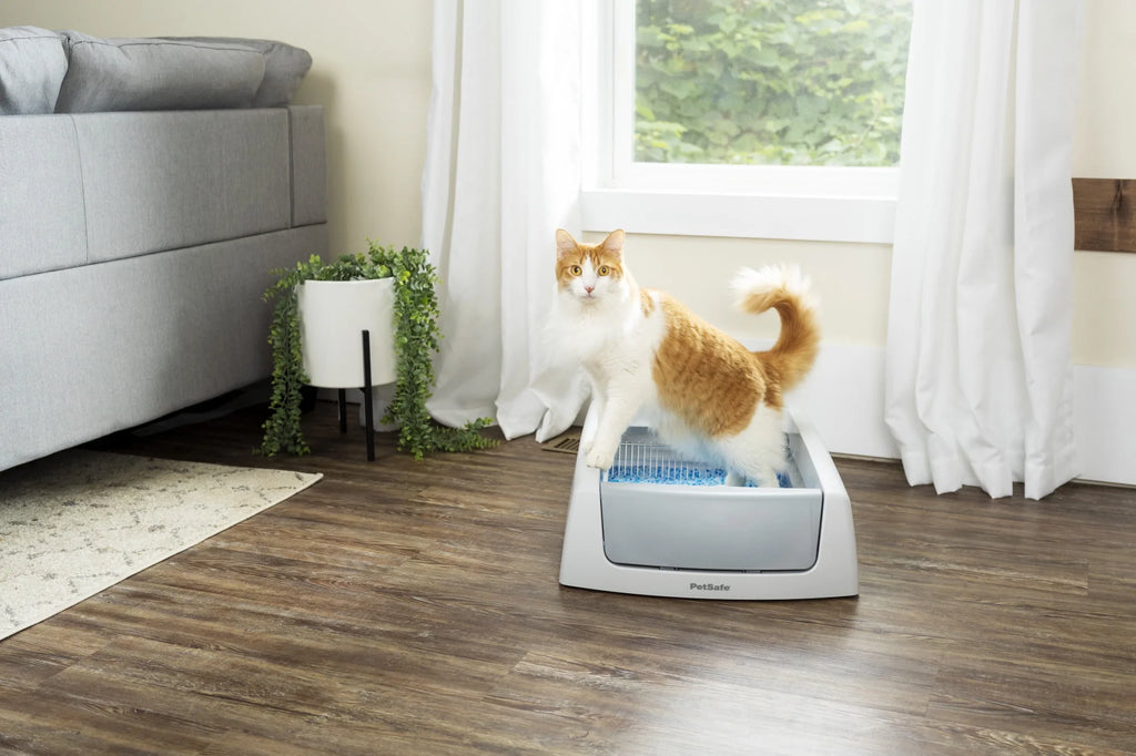 Self-Cleaning Cat Litter Box Y639303