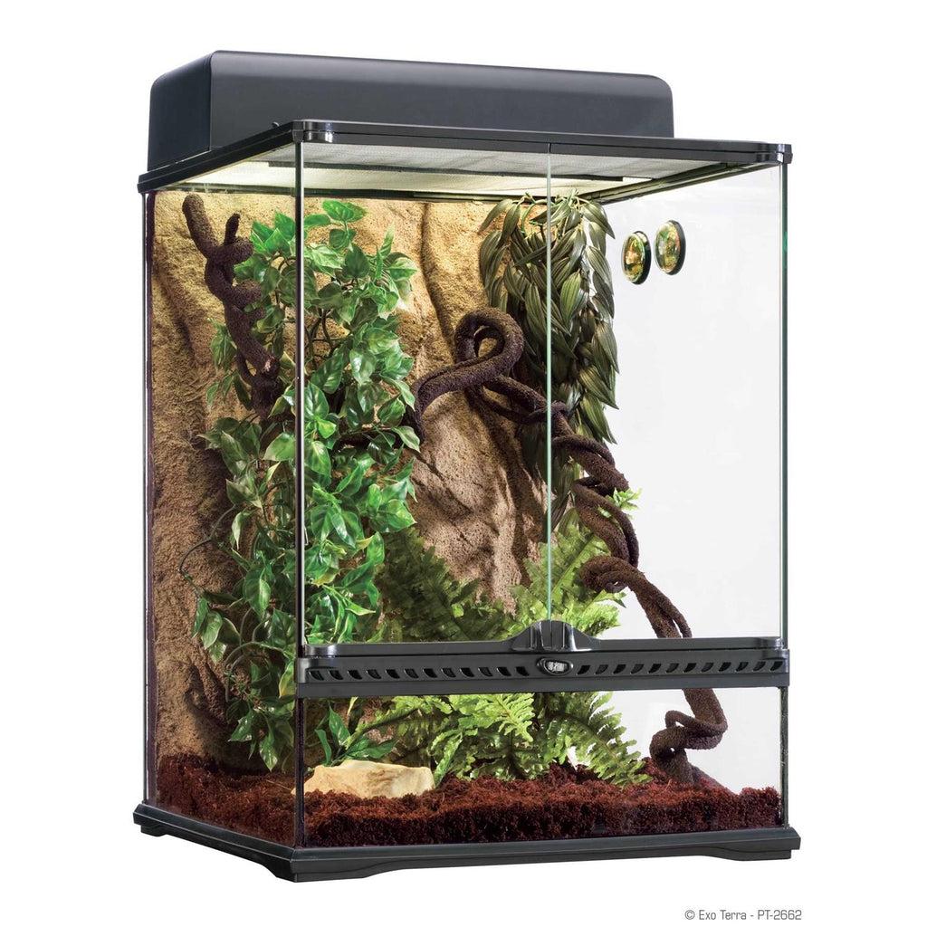 Rainforest Habitat Kit F902