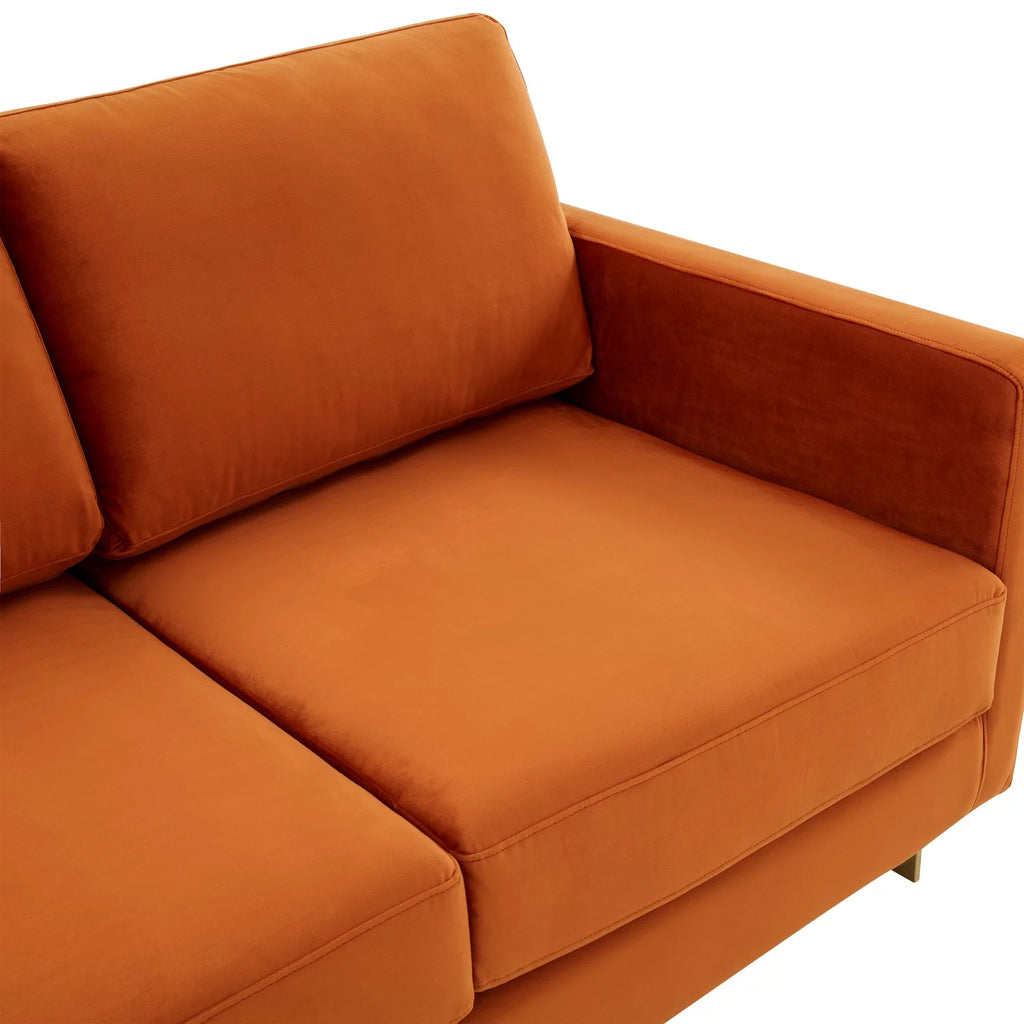 Upholstered Velvet Loveseat with Gold Frame Y835
