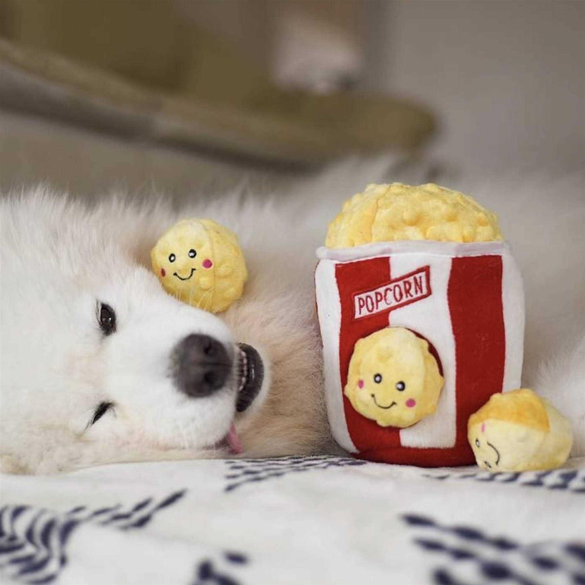 Popcorn Bucket Dog Toy H8373