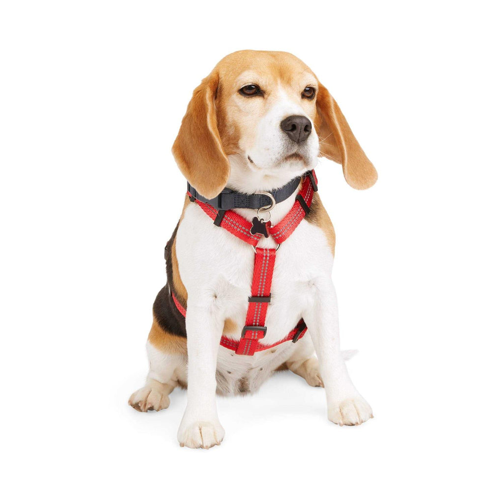 Reflective Dog Harness P34527
