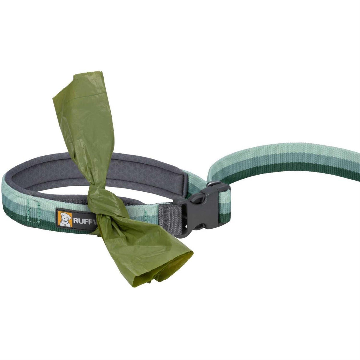 Leash P26292