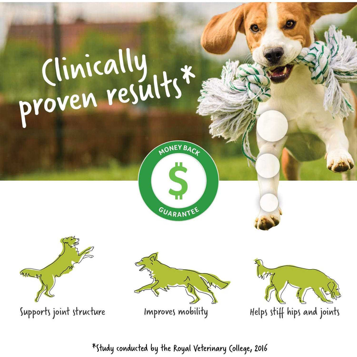 Soft Chew Dog Supplement H205