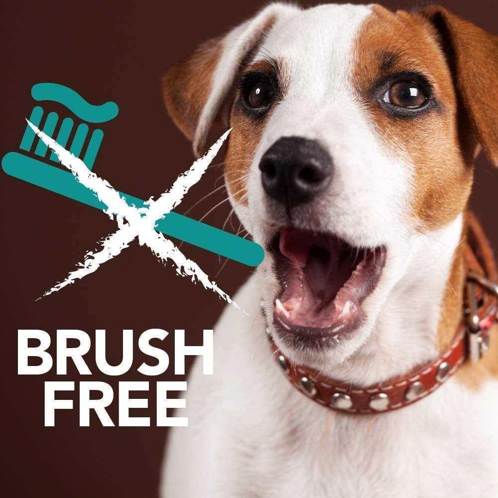 Brush-Free Oral Gel for Pets S56872