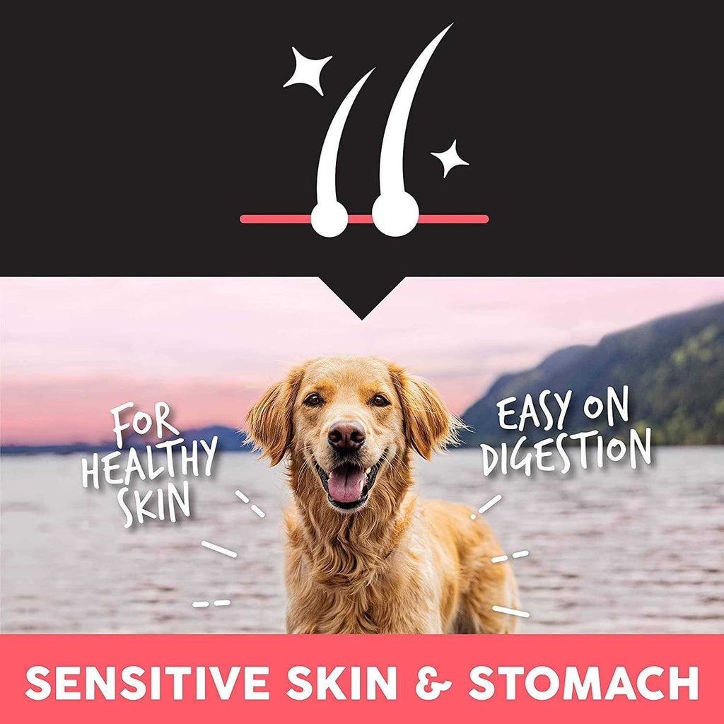 Salmon Protein Dry Dog Food C6044