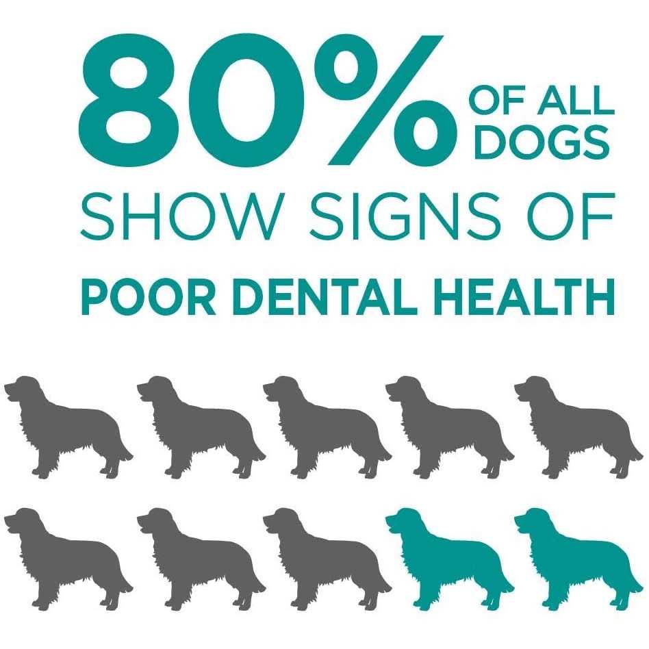 Brush-Free Oral Gel for Pets S56872
