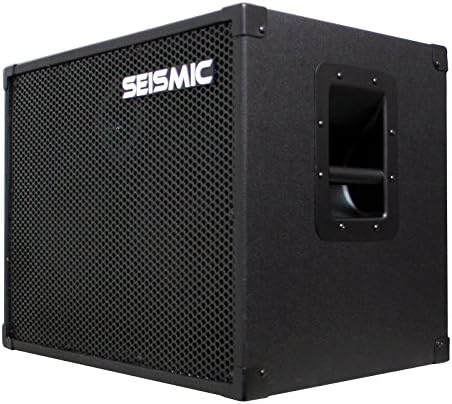 210 Bass Guitar Speaker Cabinet with Horn 200 Watts G400767