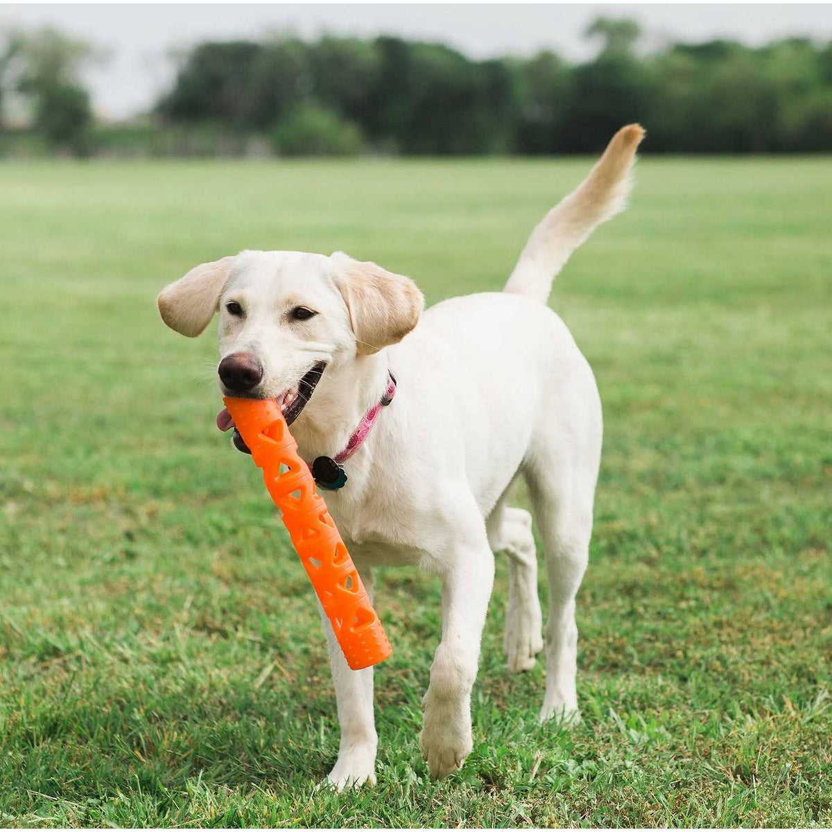 Dog Toy L4867