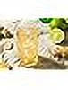 Diet Ginger Beer 12 oz Glass F490