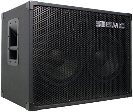 210 Bass Guitar Speaker Cabinet with Horn 200 Watts G400767
