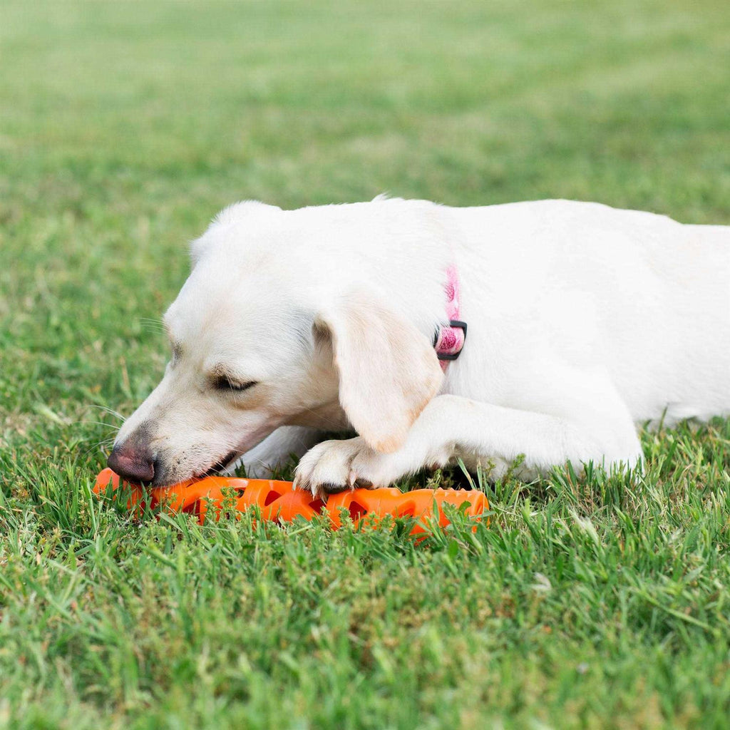 Dog Toy L4867