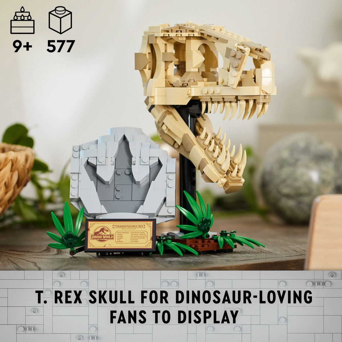 Dinosaur Fossils T. rex Skull Skeleton Model Set B482