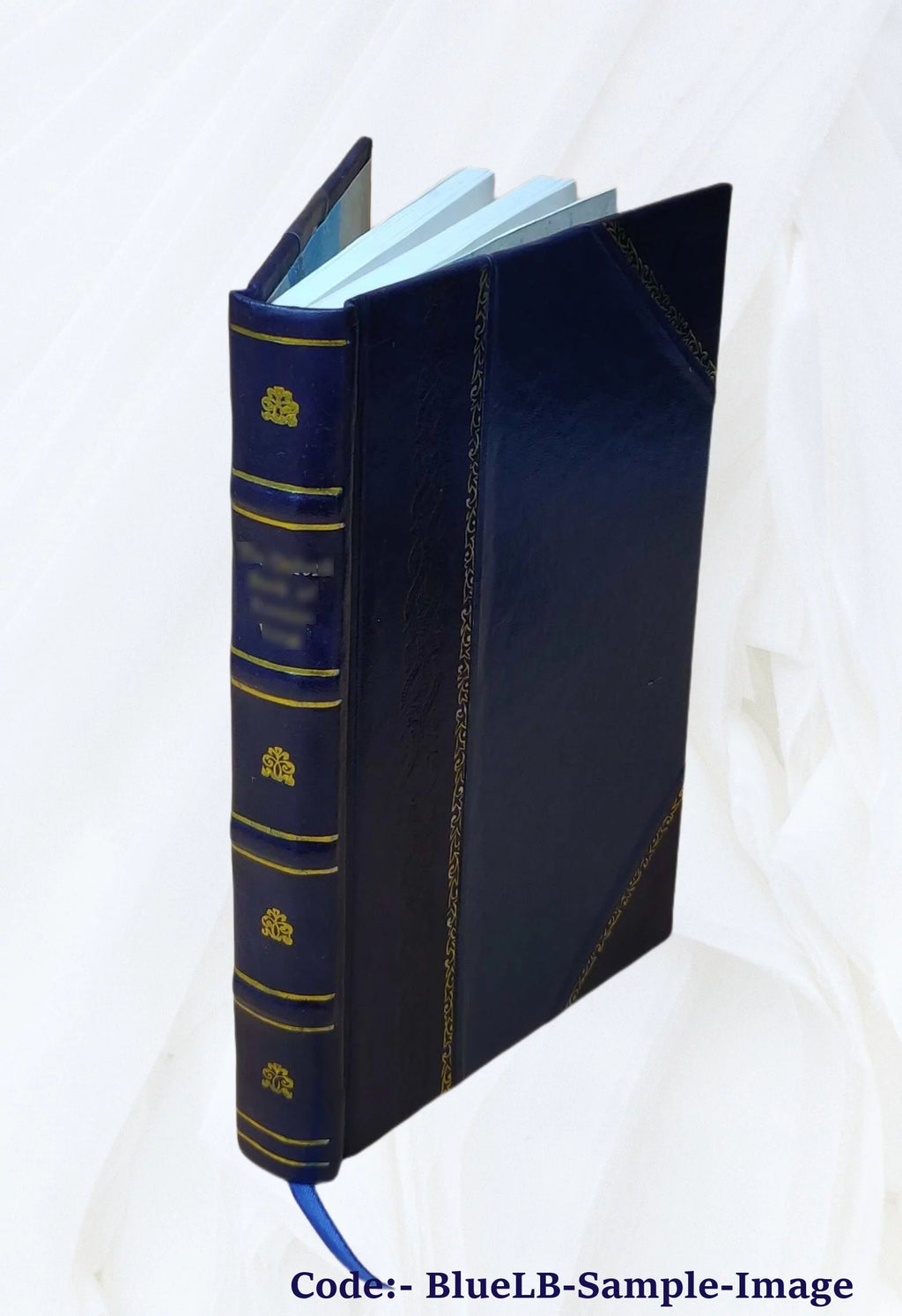 Leather Bound Book H317