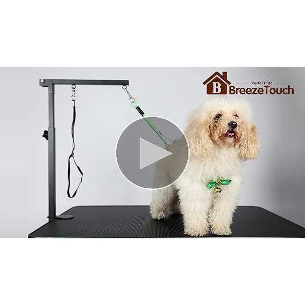 Dog Grooming Table Arm with Clamp and Post R9139