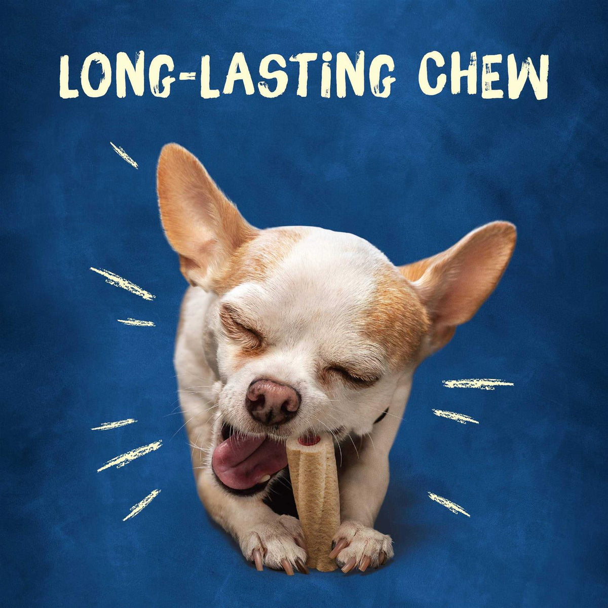 Tiny Dog Treats N741108