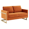 Upholstered Velvet Loveseat with Gold Frame Y835