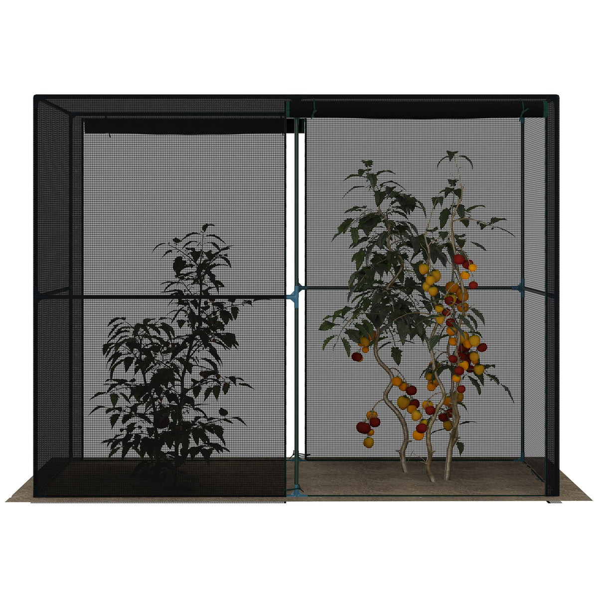 Outdoor Walk-in Crop Cage with HDPE Cover K986