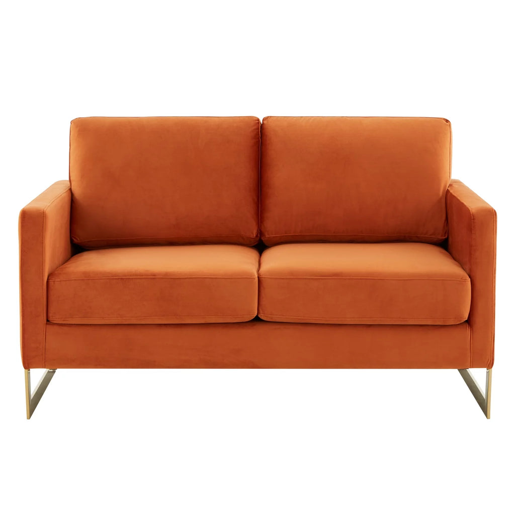 Upholstered Velvet Loveseat with Gold Frame Y835