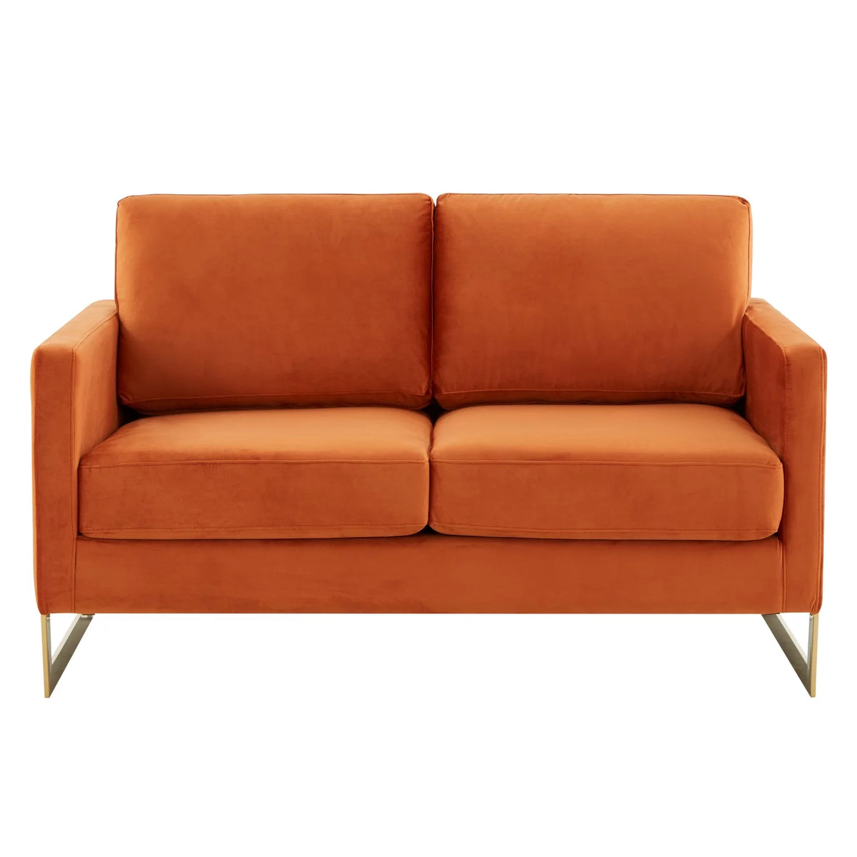 Upholstered Velvet Loveseat with Gold Frame Y835
