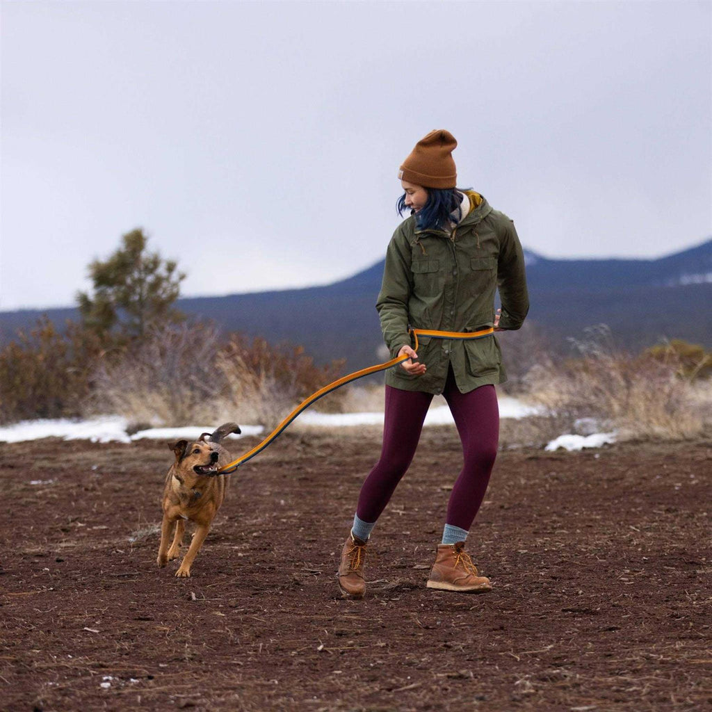 Leash P26292