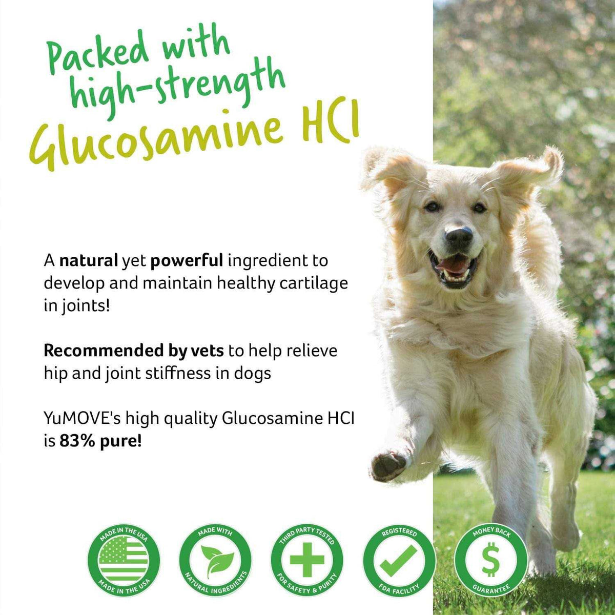 Soft Chew Dog Supplement H205