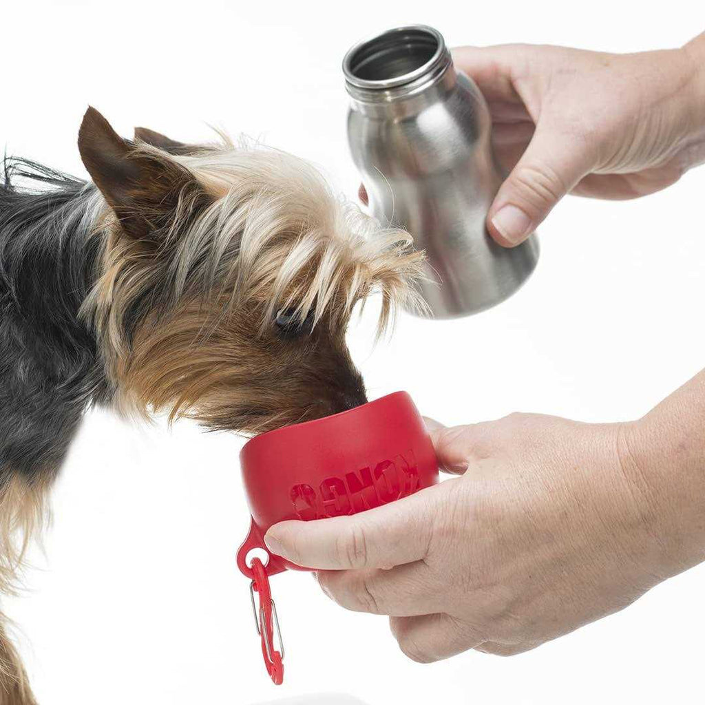 Stainless Steel Dog Water Bottle Z243684
