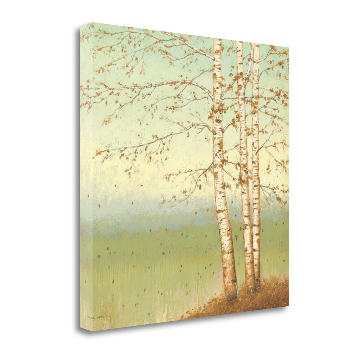 Golden Birch II with Blue Sky Giclee on Gallery Wrap Canvas X5211
