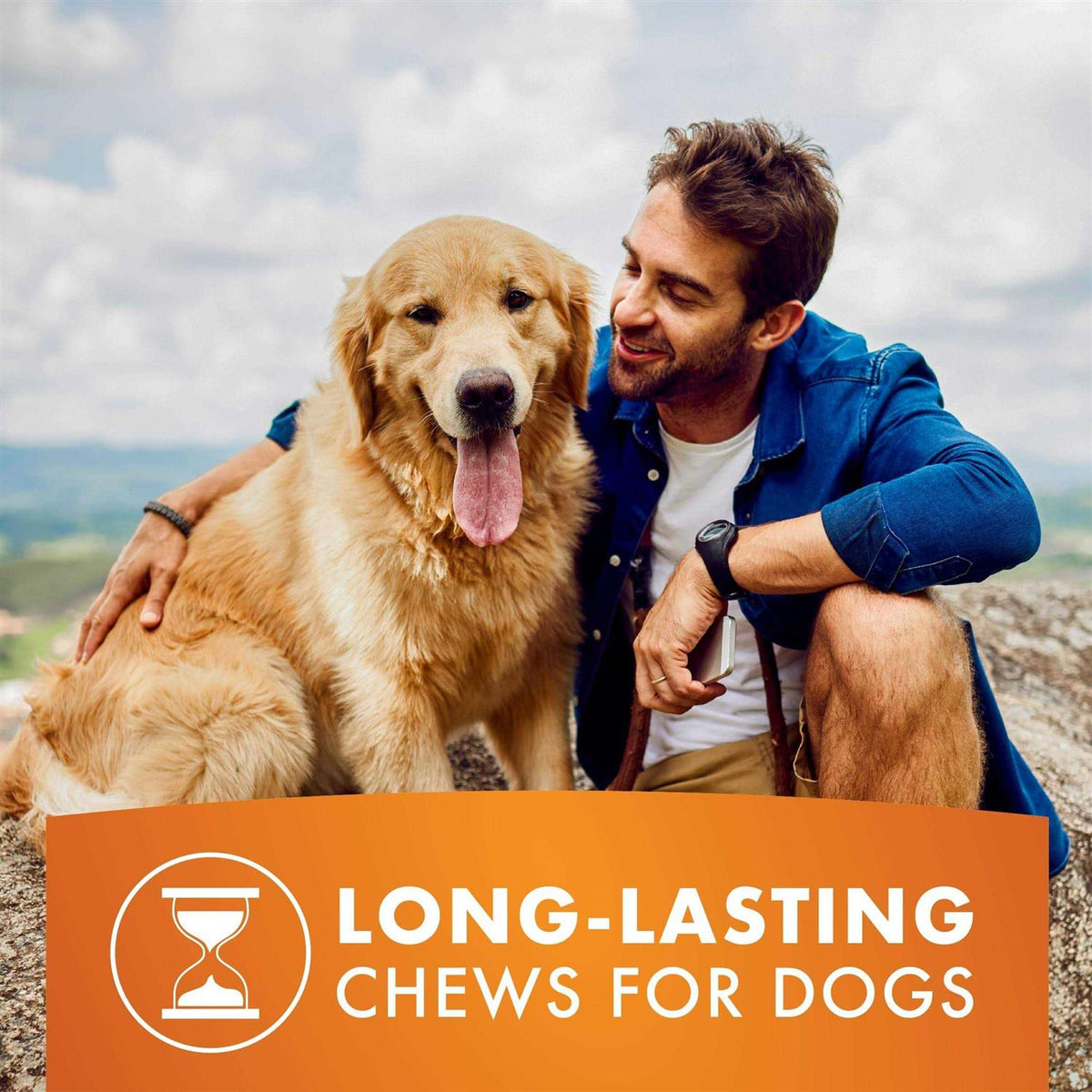 Dog Treats Y41581