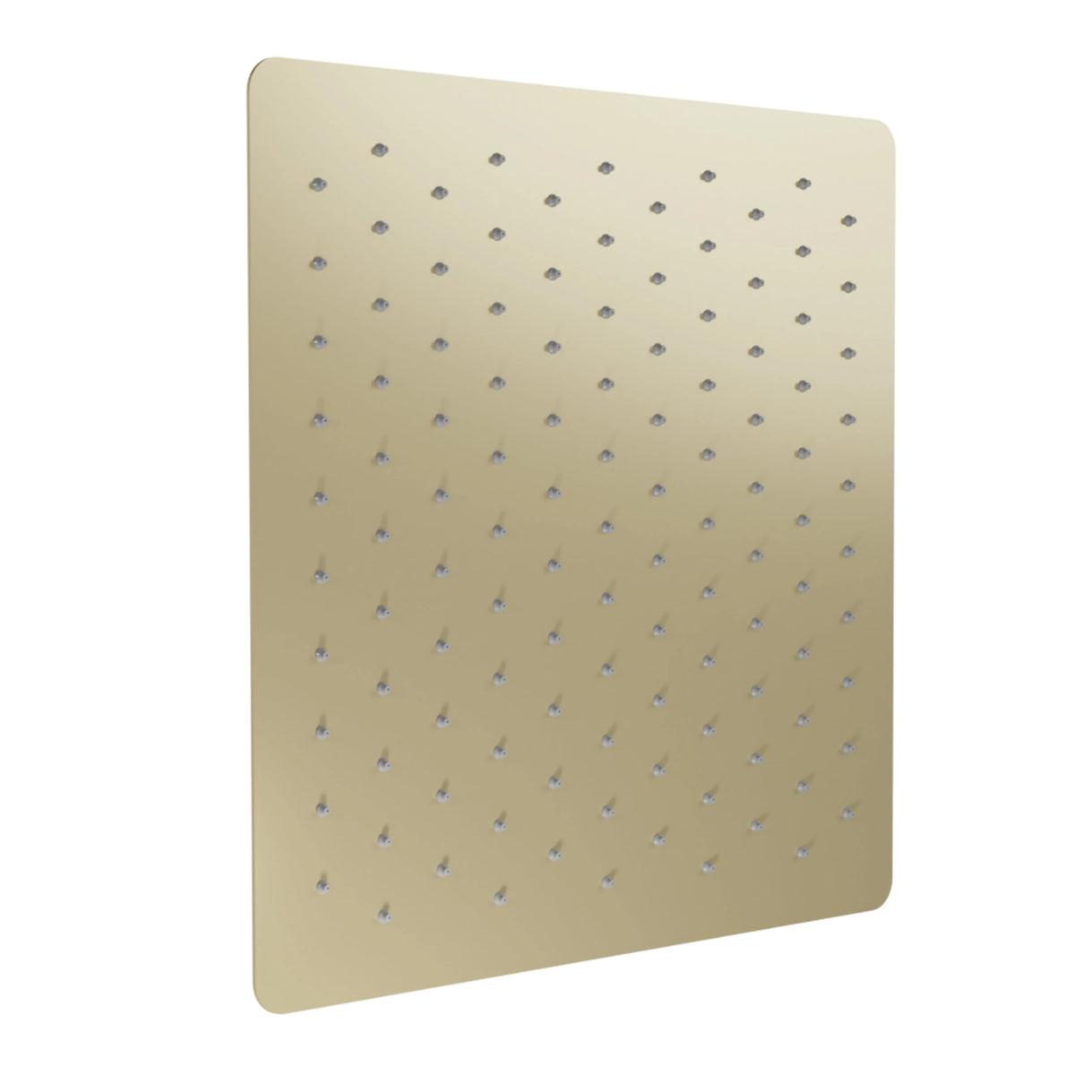 Oversized Shower Head in Champagne Bronze S6975