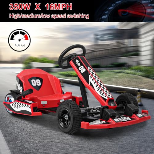 Electric Drifting Go Kart with 350W Motor R9857