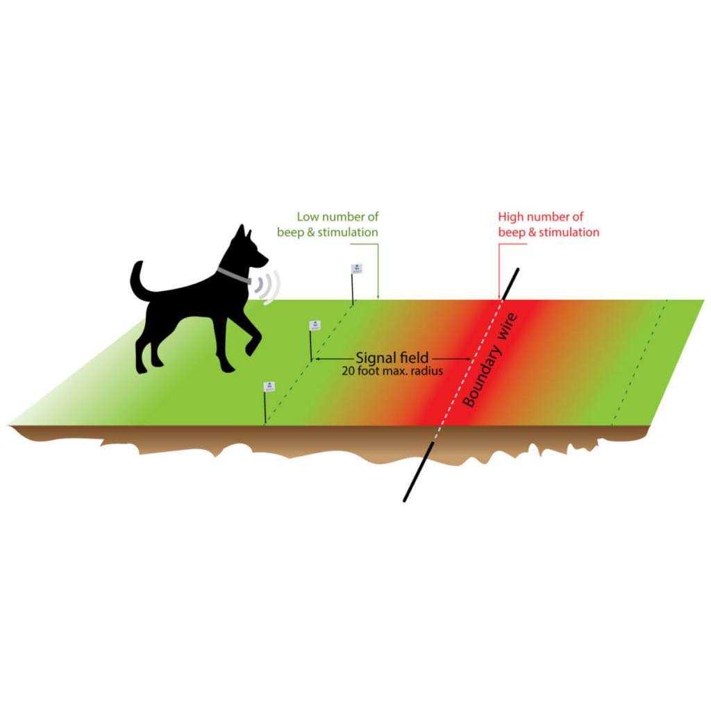 Electronic Dog Fence System G880394