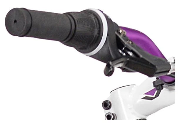Gray Women's Mountain Bike A1911