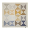 Polychrome Napkin 20x20 N5949