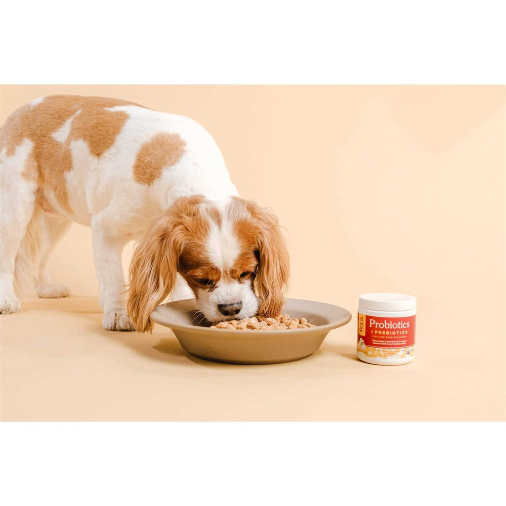 Probiotics with Organic Prebiotics for Dogs & Cats Z4535