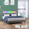 Full Size Grey Platform Bed Frame with LED Headboard W2406