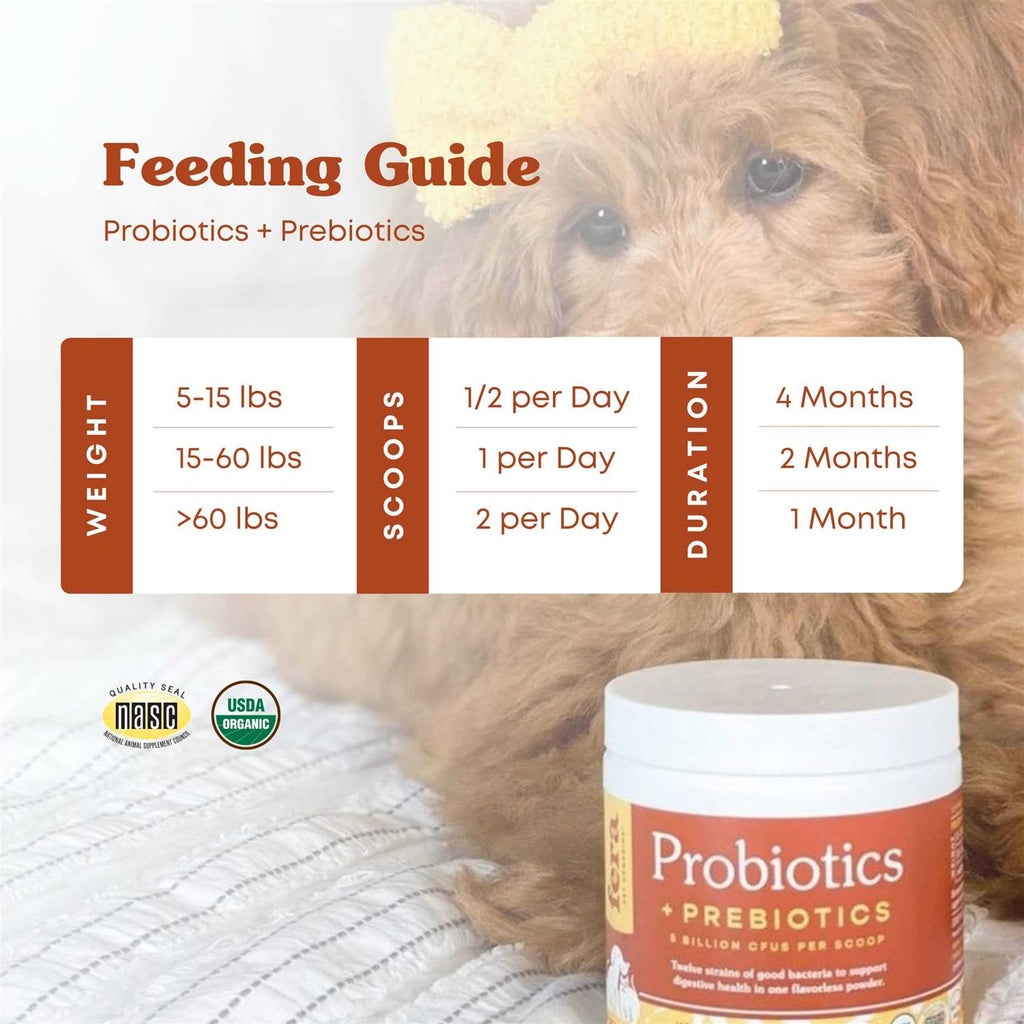 Probiotics with Organic Prebiotics for Dogs & Cats Z4535