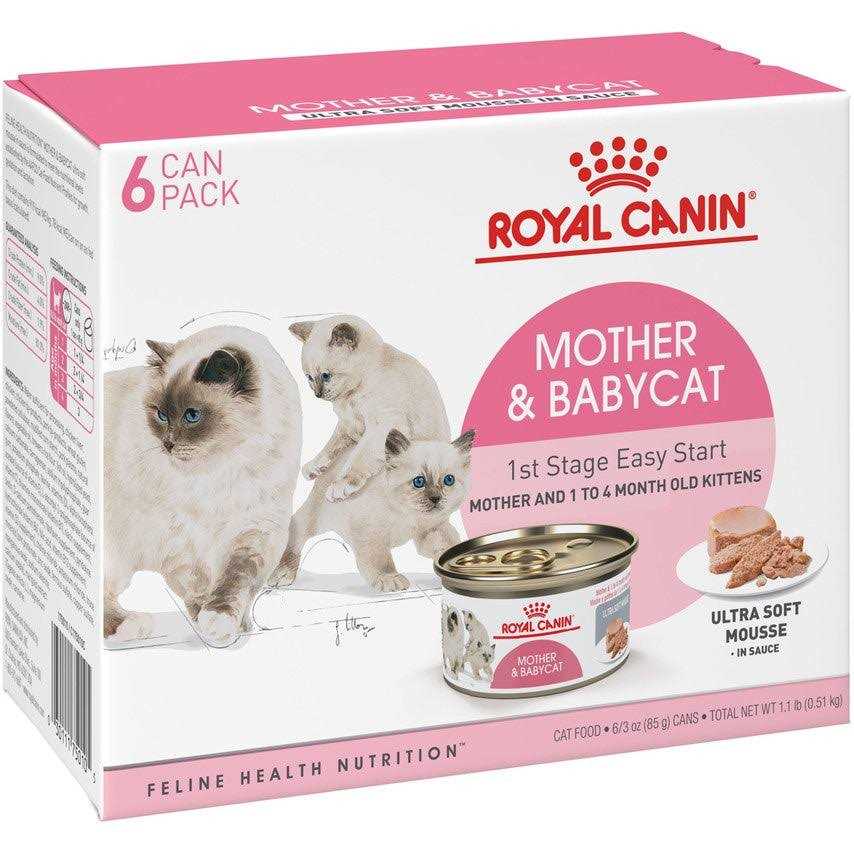 Canned Cat Food Y844