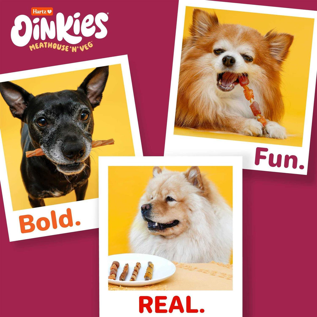 Dog Treats I5748