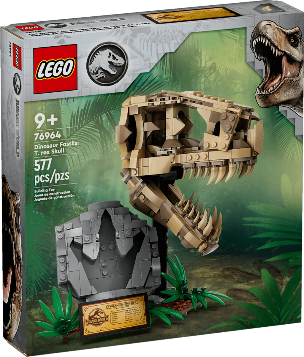 Dinosaur Fossils T. rex Skull Skeleton Model Set B482