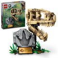 Dinosaur Fossils T. rex Skull Skeleton Model Set B482