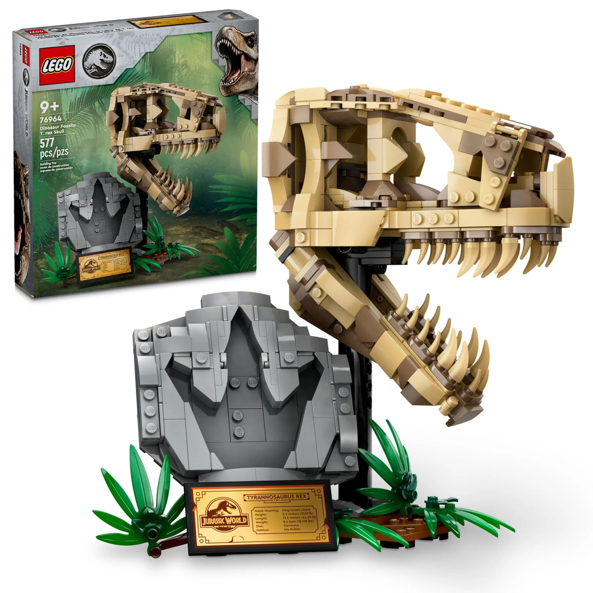 Dinosaur Fossils T. rex Skull Skeleton Model Set B482