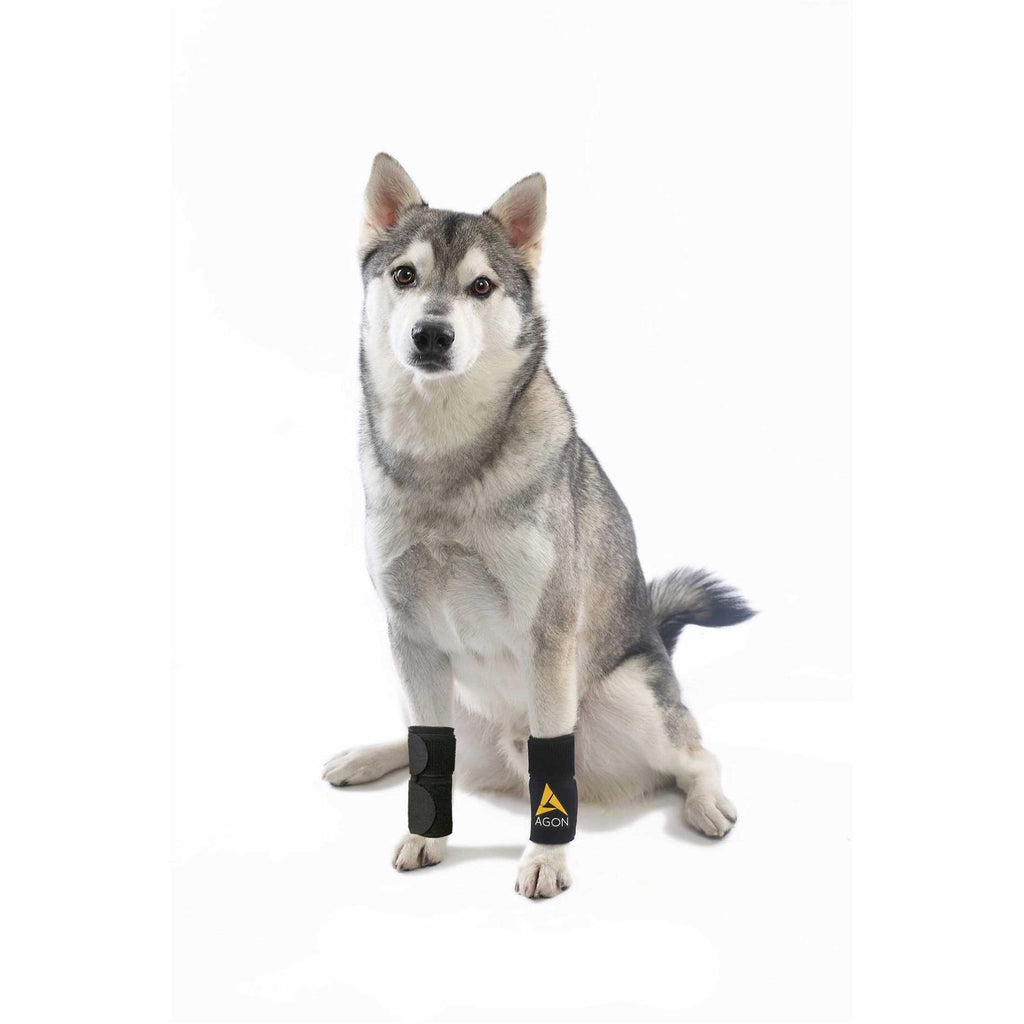 Dog Front Leg Brace Paw Compression Wraps Z321954