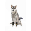 Dog Front Leg Brace Paw Compression Wraps Z321954