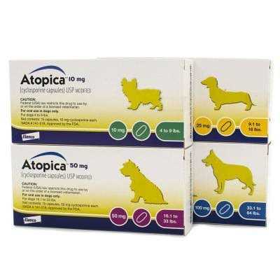 Pet Supplies D239594