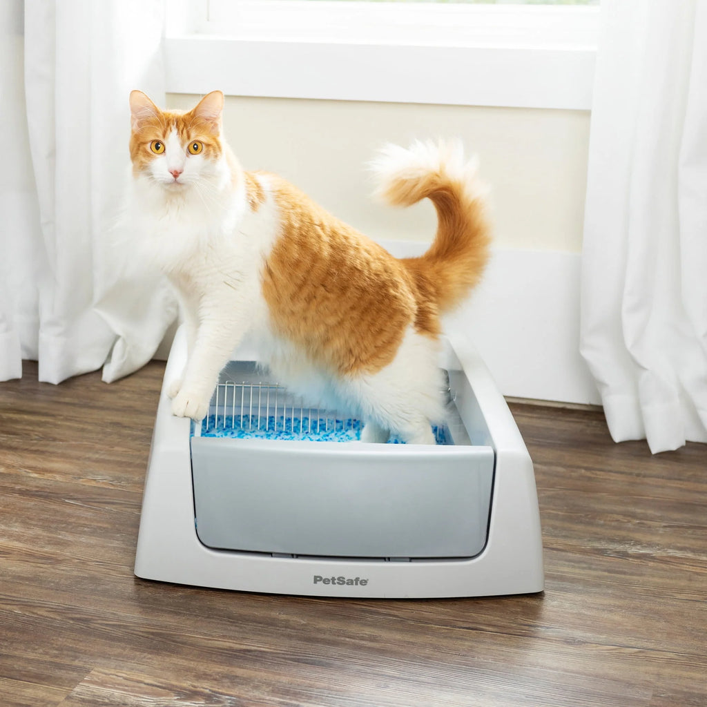 Self-Cleaning Cat Litter Box Y639303