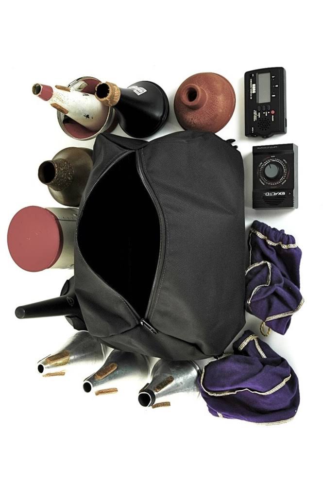 Trumpet Case I26522