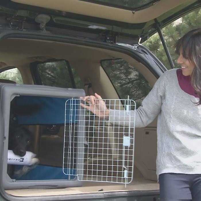 Pop up Travel Crate R76369