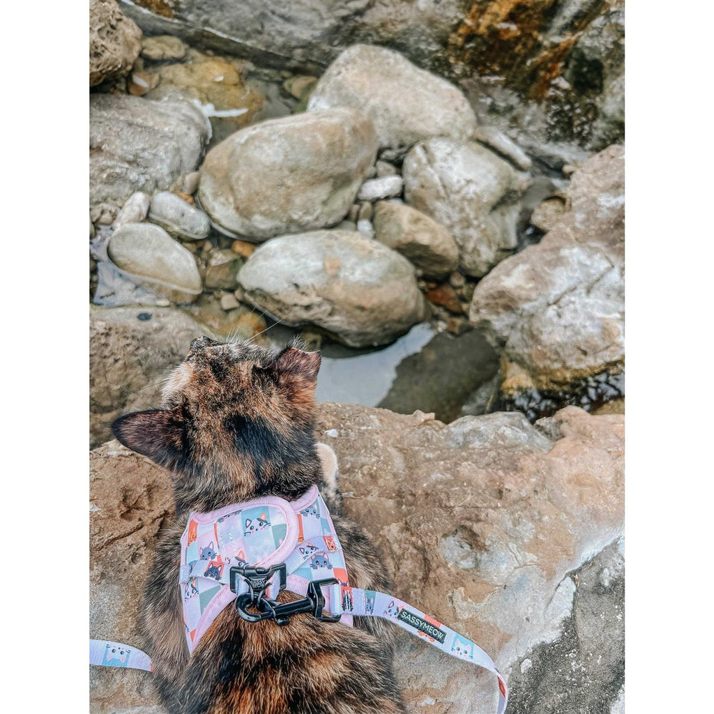Cat Step-In Harness E9890
