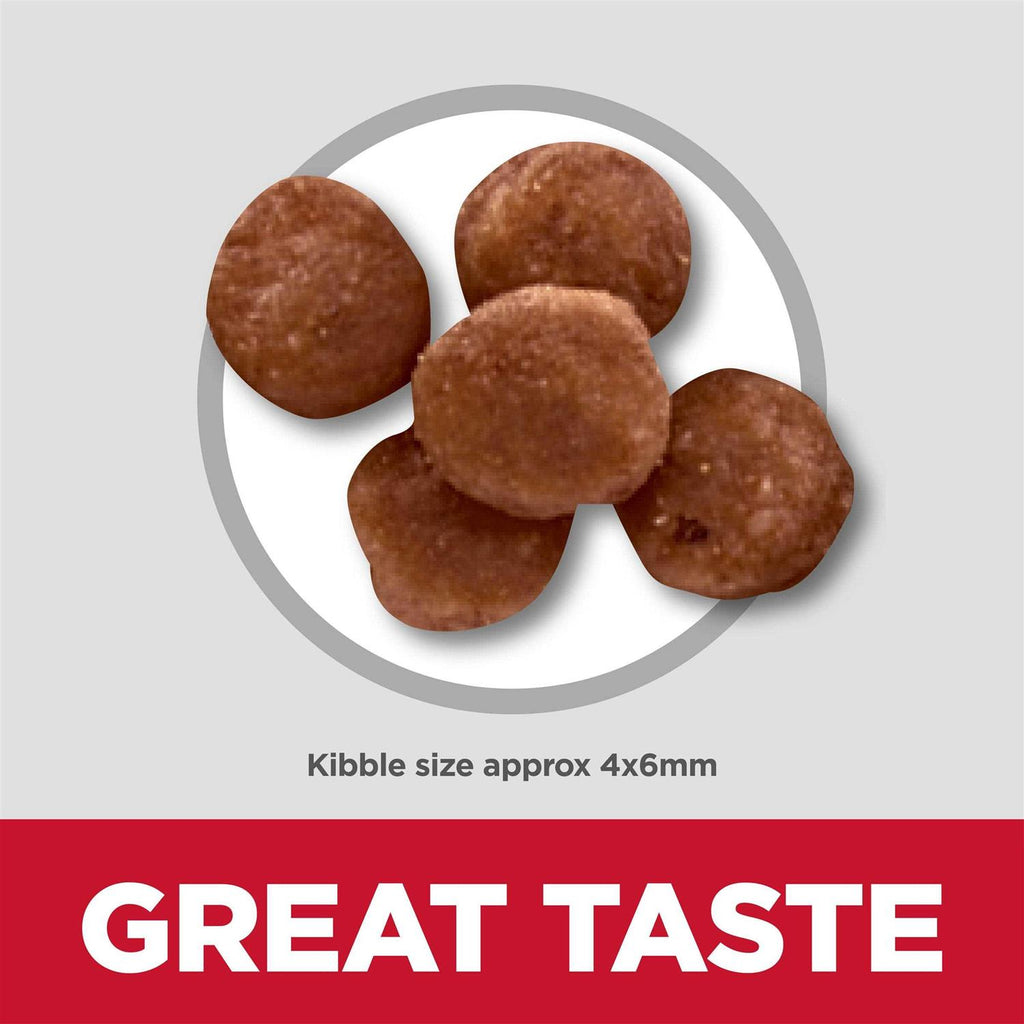 Indoor Kitten Dry Cat Food C469